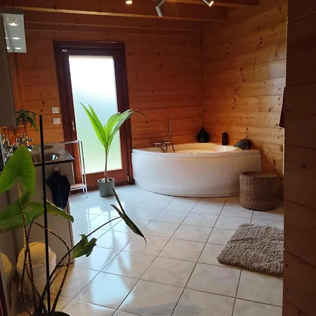 Magnifique Avec Piscine Et Salle De Sport Villa *